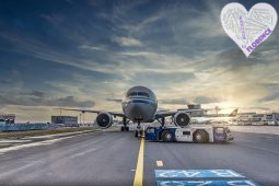 Arriving at Florence Airport by Public Transport: A Comprehensive Guide
